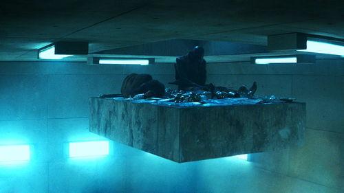 饥饿站台在线视频播放,生存挑战背后的残酷现实