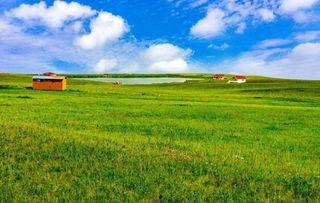 平青草原在线视频,一场视觉与心灵的草原之旅