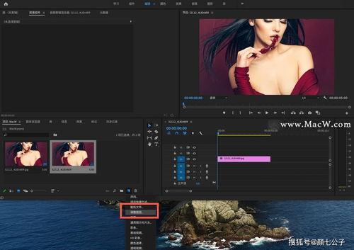 lut在线视频软件,打造个性化视觉盛宴