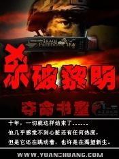 杀破黎明在线视频,揭秘暗黑世界的黎明曙光