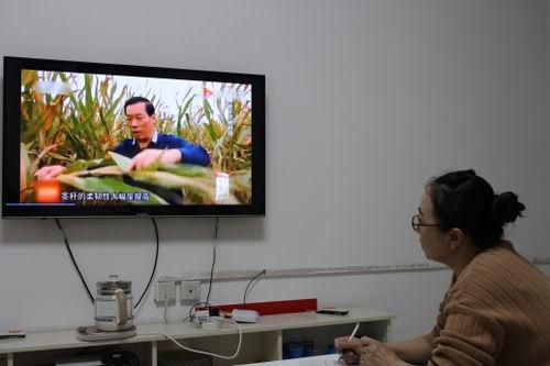 吴丽娜在线视频,揭秘成功秘诀与人生智慧