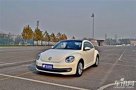 甲壳虫在线视频,探寻虫界传奇，揭秘生命奥秘